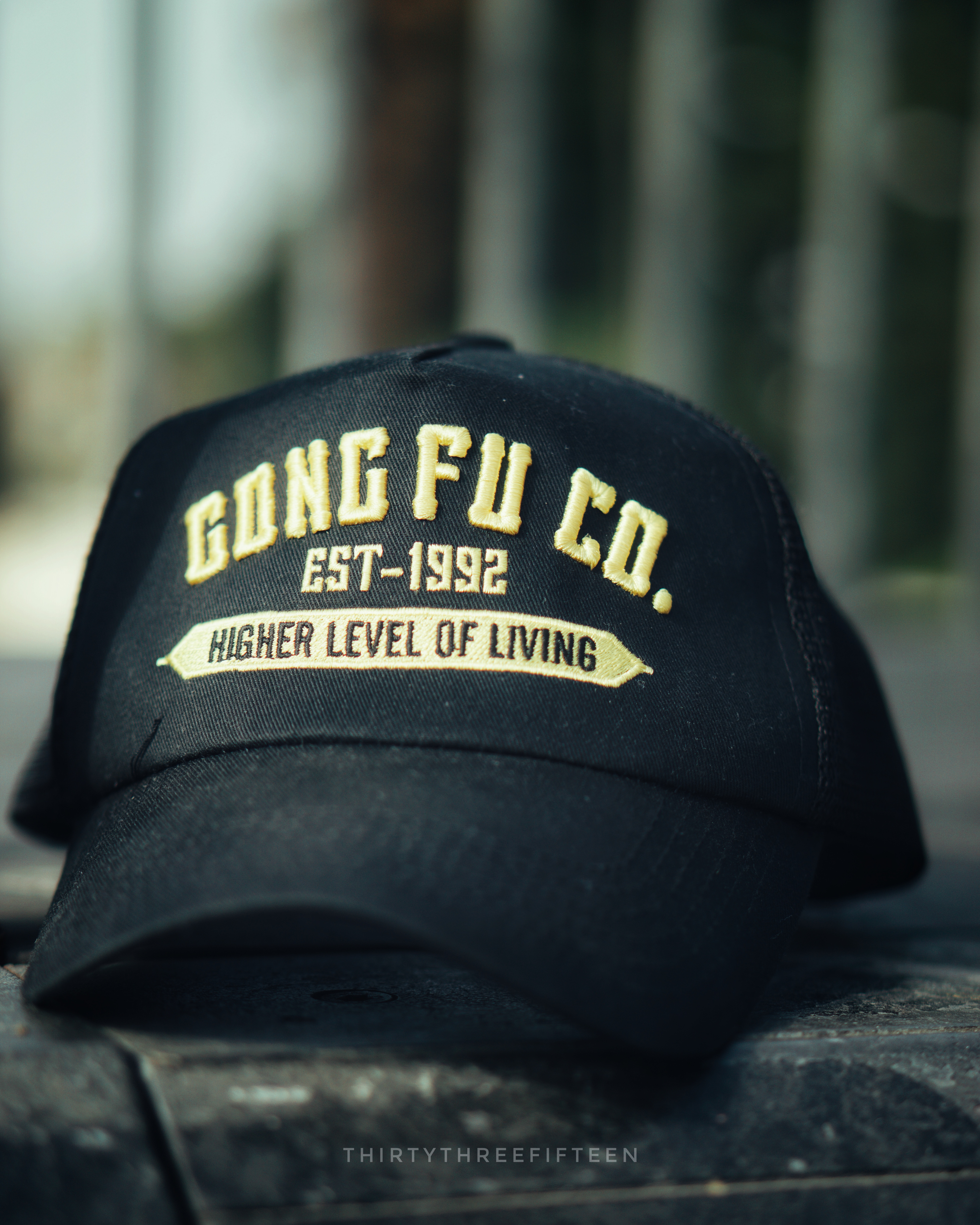 Gong Fu Company — campaign asset 2
